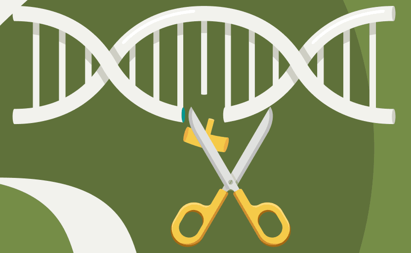 CRISPR-Cas9について