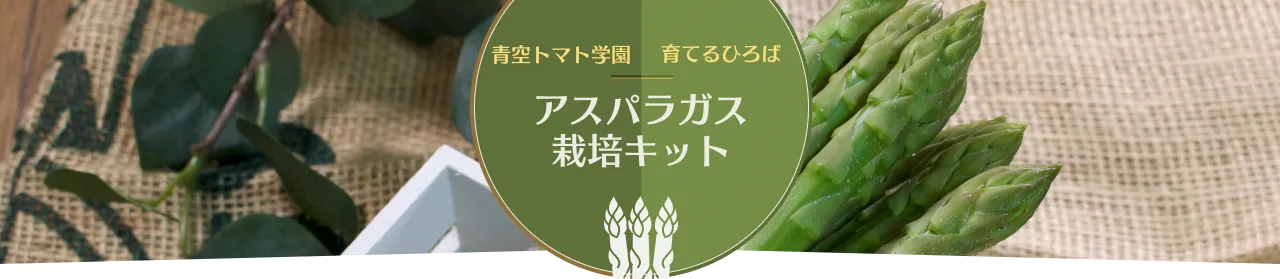 ファーストビュー画像